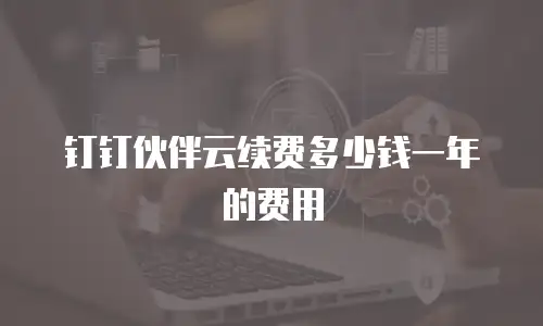 钉钉伙伴云续费多少钱一年的费用