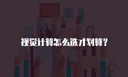 视觉计算怎么选才划算？