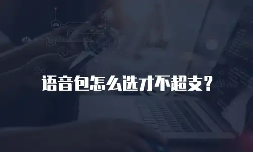 语音包怎么选才不超支？
