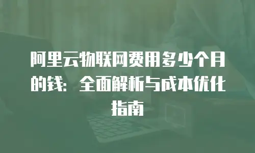 阿里云物联网费用多少个月的钱：全面解析与成本优化指南