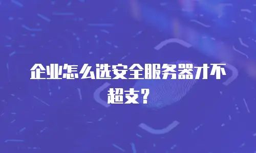 企业怎么选安全服务器才不超支？
