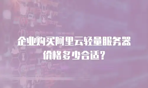 企业购买阿里云轻量服务器价格多少合适？