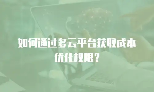 如何通过多云平台获取成本优化权限？