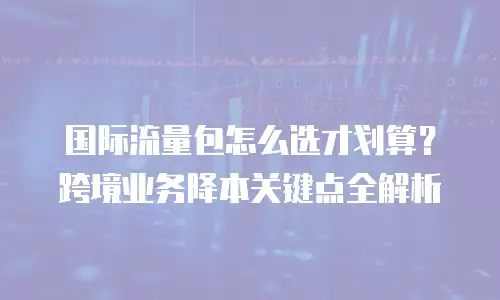 国际流量包怎么选才划算？跨境业务降本关键点全解析