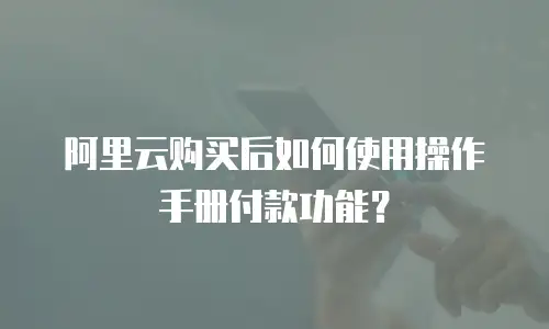 阿里云购买后如何使用操作手册付款功能？