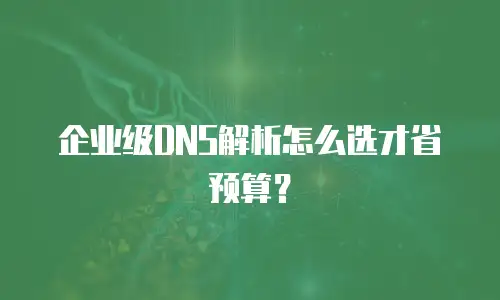 企业级DNS解析怎么选才省预算？