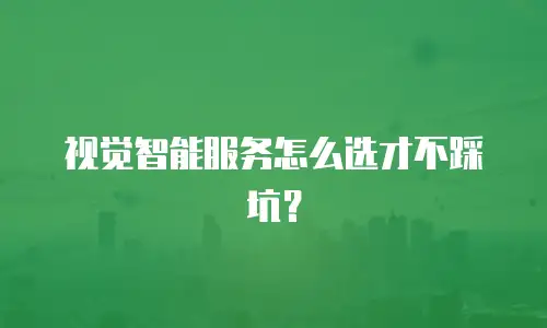 视觉智能服务怎么选才不踩坑？