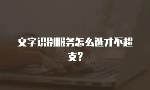 文字识别服务怎么选才不超支？