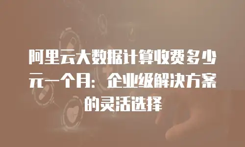 阿里云大数据计算收费多少元一个月：企业级解决方案的灵活选择