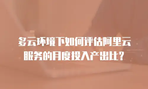 多云环境下如何评估阿里云服务的月度投入产出比？