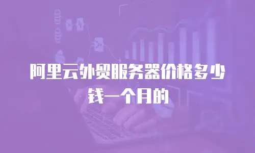 阿里云外贸服务器价格多少钱一个月的