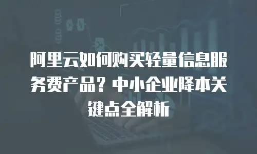 阿里云如何购买轻量信息服务费产品？中小企业降本关键点全解析