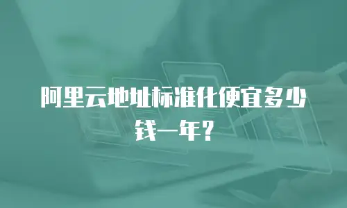 阿里云地址标准化便宜多少钱一年？