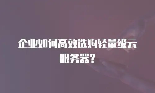 企业如何高效选购轻量级云服务器？