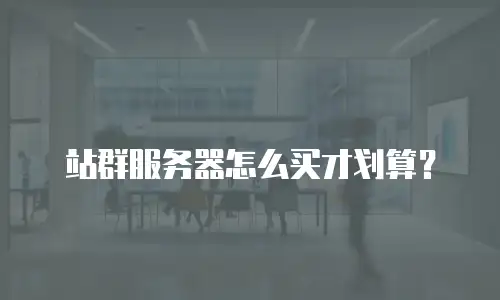 站群服务器怎么买才划算？