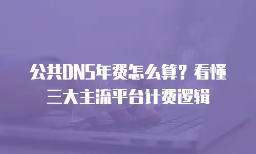 公共DNS年费怎么算？看懂三大主流平台计费逻辑