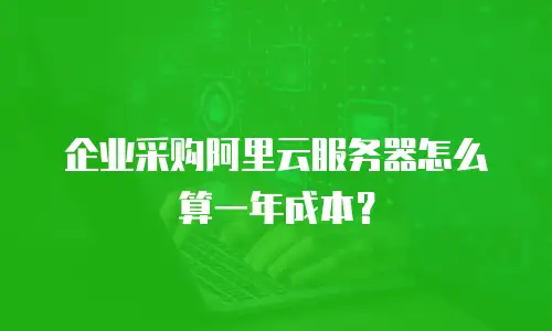 企业采购阿里云服务器怎么算一年成本？