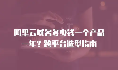 阿里云域名多少钱一个产品一年？跨平台选型指南