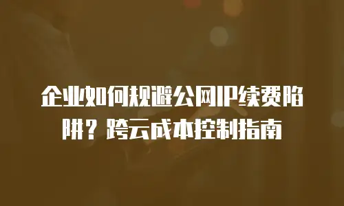 企业如何规避公网IP续费陷阱？跨云成本控制指南