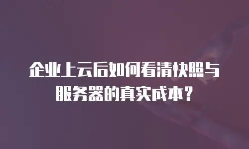 企业上云后如何看清快照与服务器的真实成本？