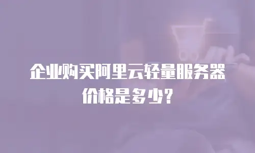 企业购买阿里云轻量服务器价格是多少？