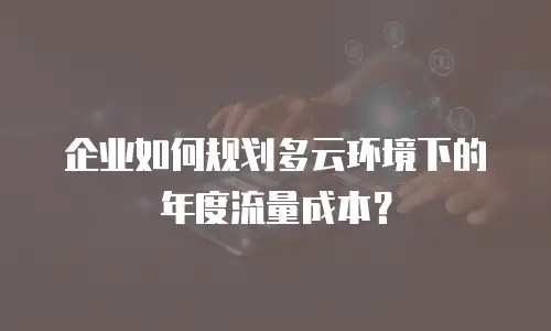 企业如何规划多云环境下的年度流量成本？