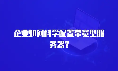 企业如何科学配置带宽型服务器？