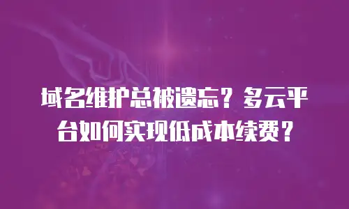 域名维护总被遗忘？多云平台如何实现低成本续费？