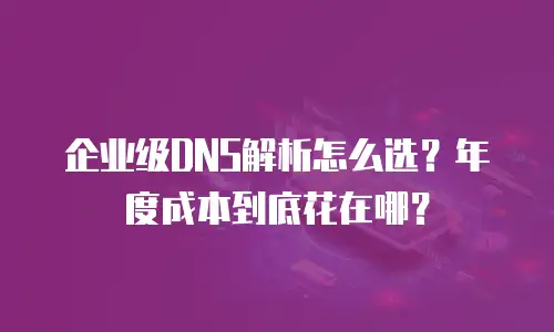 企业级DNS解析怎么选？年度成本到底花在哪？