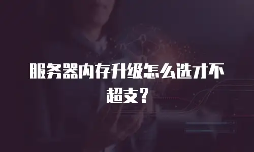 服务器内存升级怎么选才不超支？