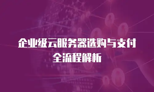 企业级云服务器选购与支付全流程解析