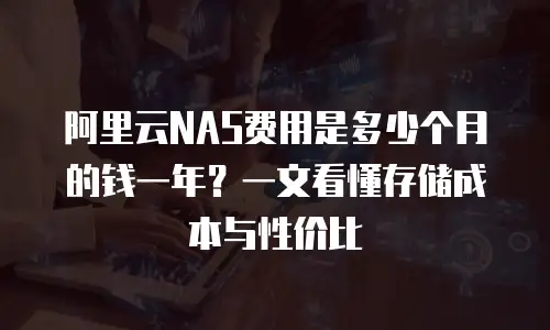 阿里云NAS费用是多少个月的钱一年？一文看懂存储成本与性价比