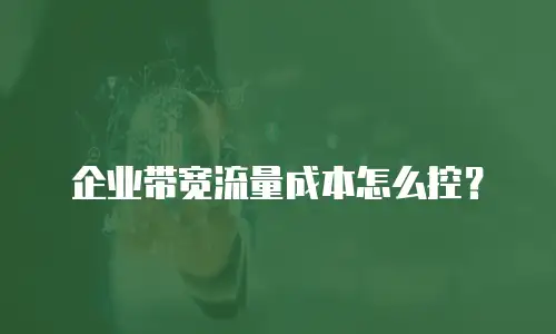 企业带宽流量成本怎么控？
