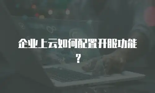企业上云如何配置开服功能？