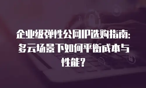 企业级弹性公网IP选购指南：多云场景下如何平衡成本与性能？