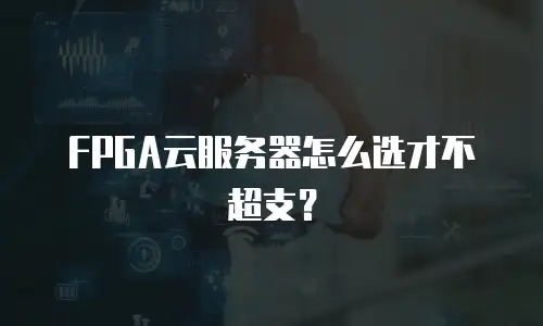 FPGA云服务器怎么选才不超支？