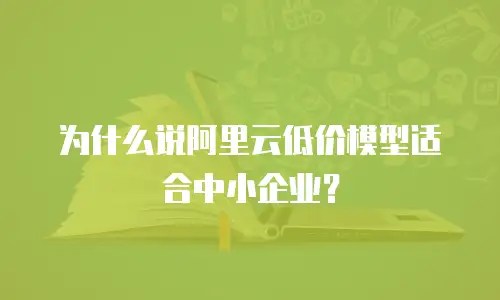 为什么说阿里云低价模型适合中小企业？