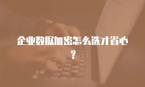 企业数据加密怎么选才省心？
