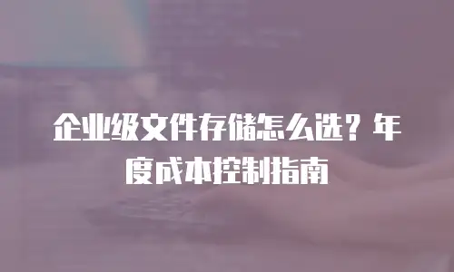 企业级文件存储怎么选？年度成本控制指南
