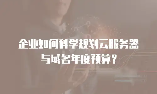 企业如何科学规划云服务器与域名年度预算？
