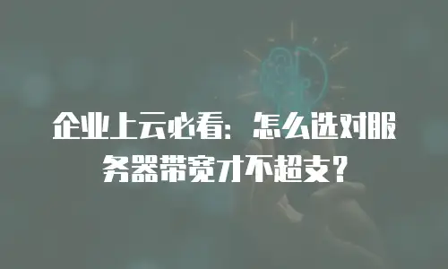 企业上云必看：怎么选对服务器带宽才不超支？