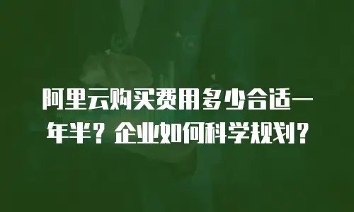 阿里云购买费用多少合适一年半？企业如何科学规划？