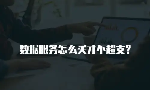 数据服务怎么买才不超支？