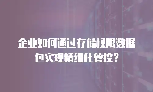 企业如何通过存储权限数据包实现精细化管控？