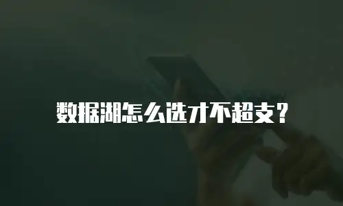 数据湖怎么选才不超支？