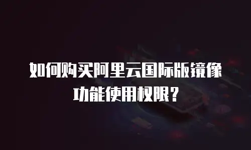 如何购买阿里云国际版镜像功能使用权限？