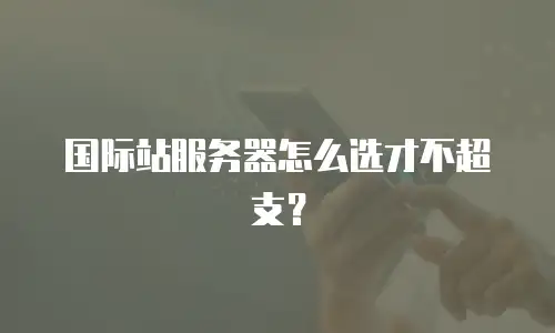 国际站服务器怎么选才不超支？