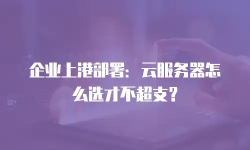 企业上港部署：云服务器怎么选才不超支？