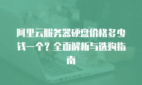 阿里云服务器硬盘价格多少钱一个？全面解析与选购指南