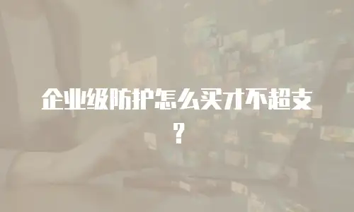 企业级防护怎么买才不超支？